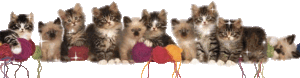 aggdudlz