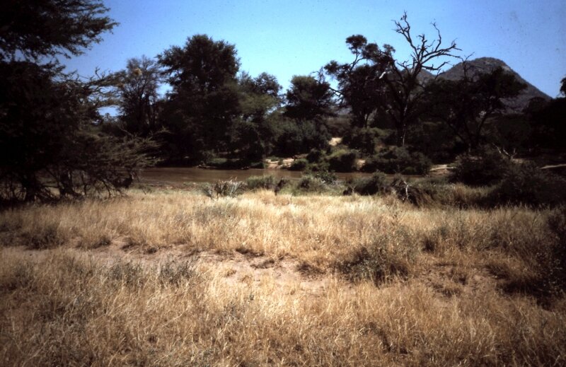 samburu b