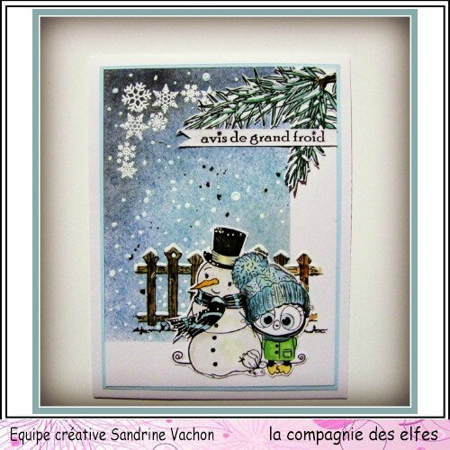 Carte AVIS DE GRAND FROID dt LCDE (1)