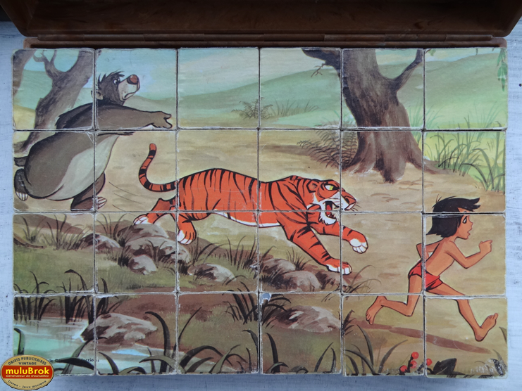 KB5 Livre Jungle muluBrok (4)