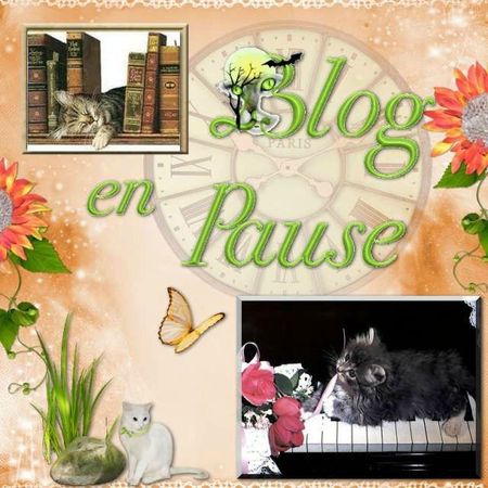 blog pause_PhotoRedukto