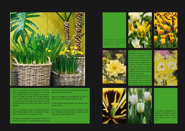 GardenColours1_Page_05