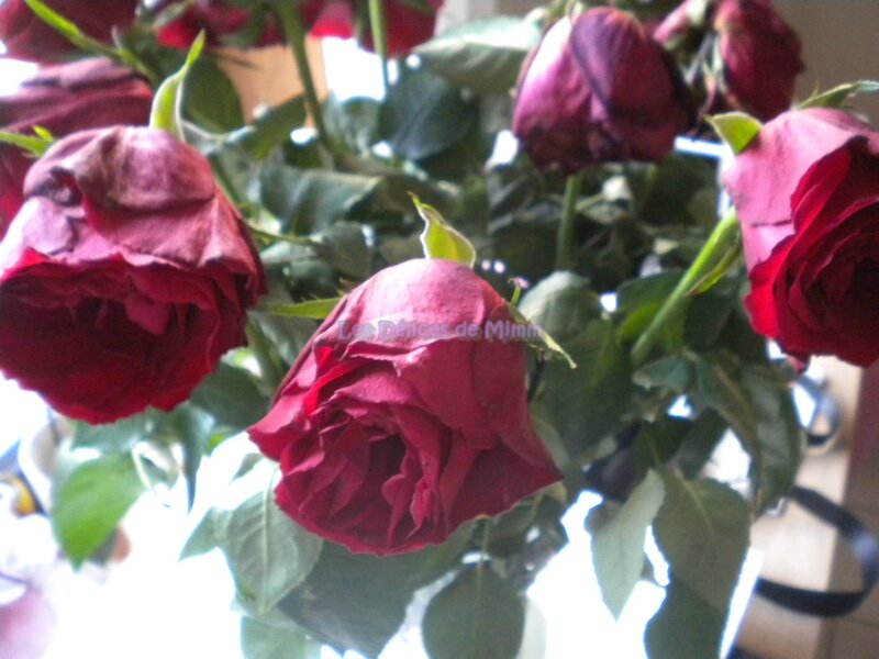 Comment rendre vie à un bouquet de roses fanées