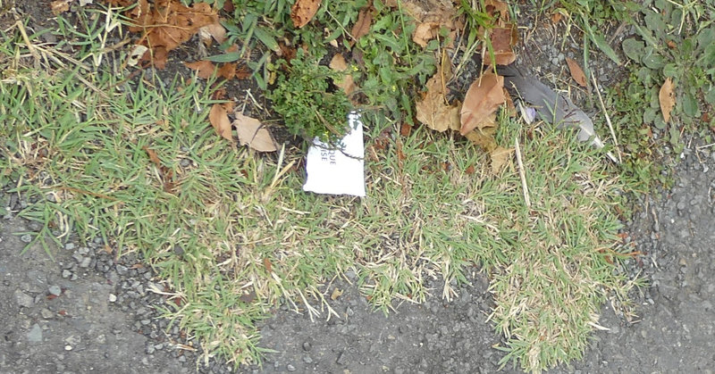 Déchets papier rue 300823 1