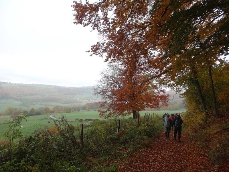 couleurs d'automne