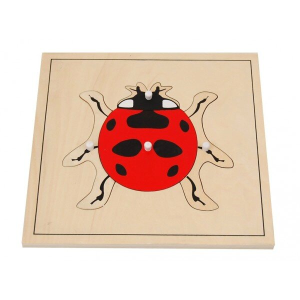 puzzle-de-la-coccinelle[1]