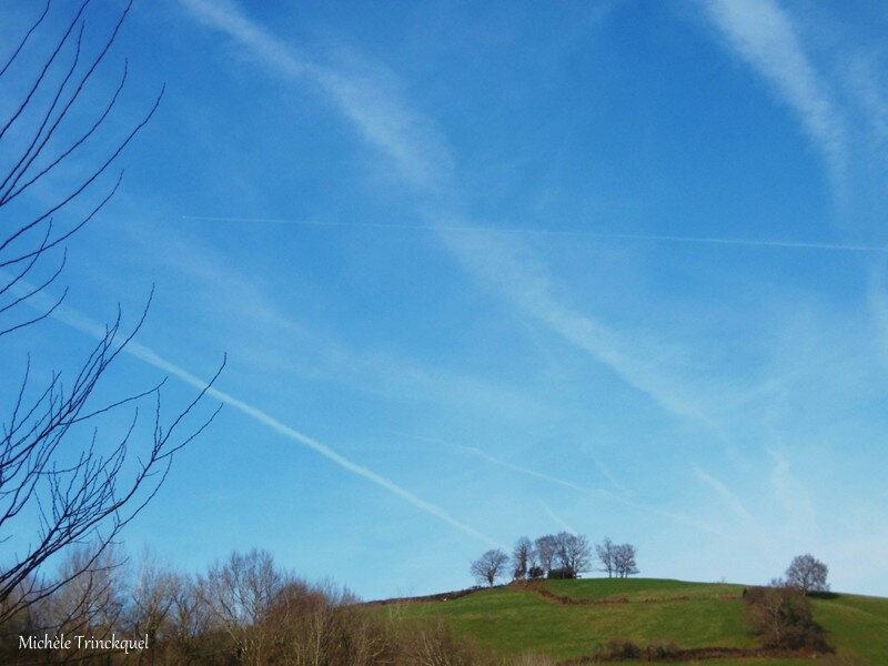 Lac de Guiche et Bardos 080219