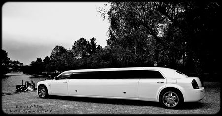 limousine__2_