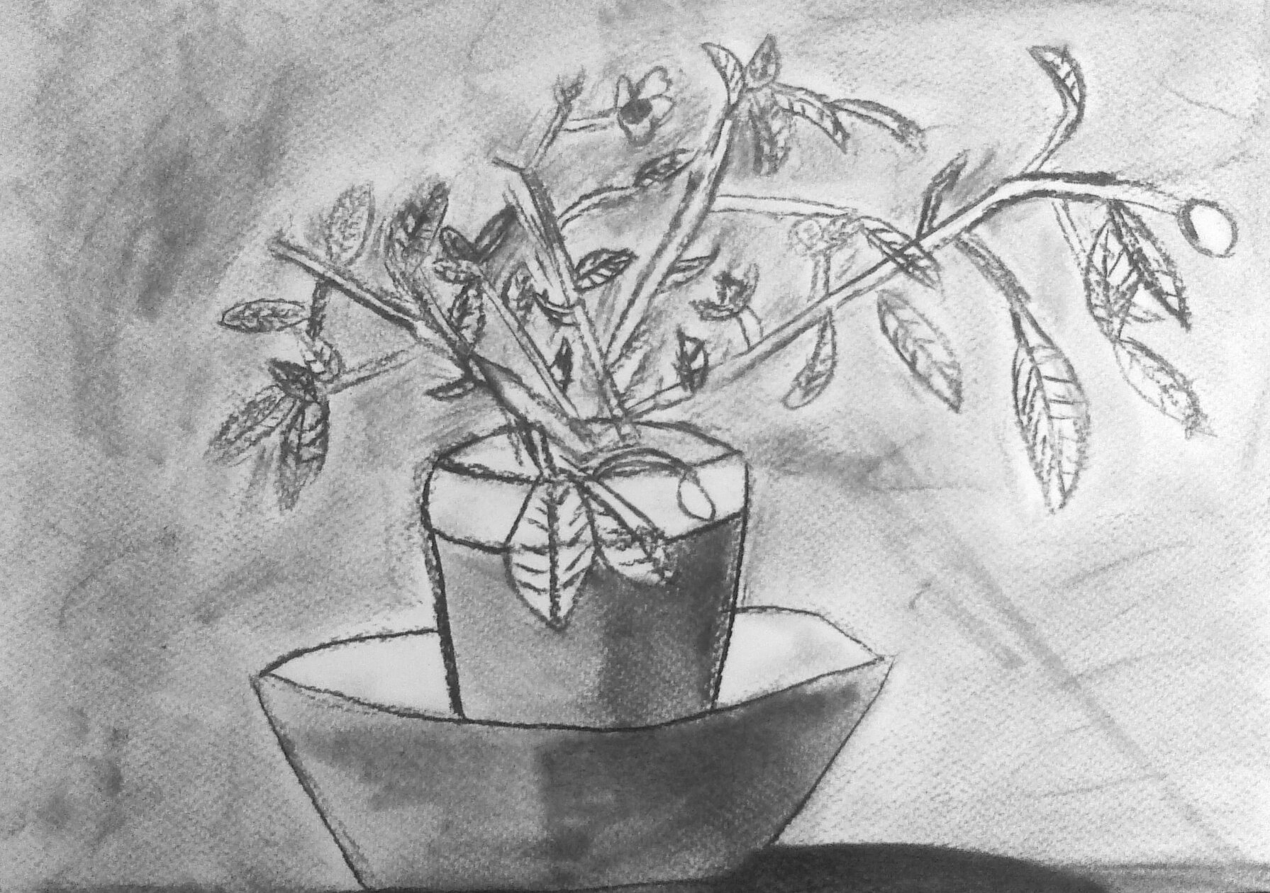 NatureMorte15