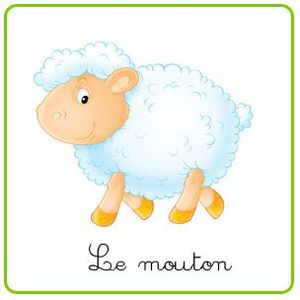 mouton