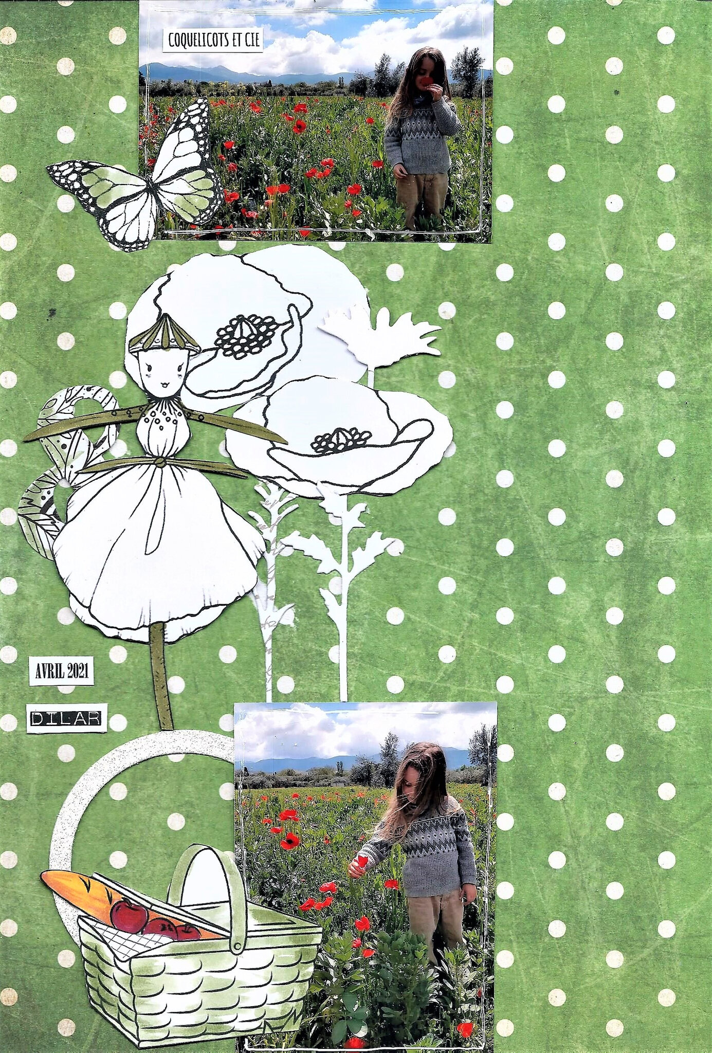 coquelicots 1