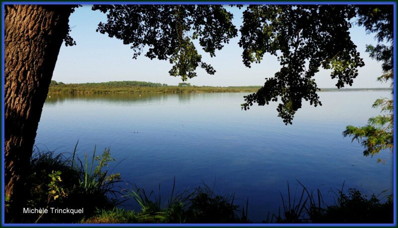 Lac Soustons Pointe des Vergnes 4