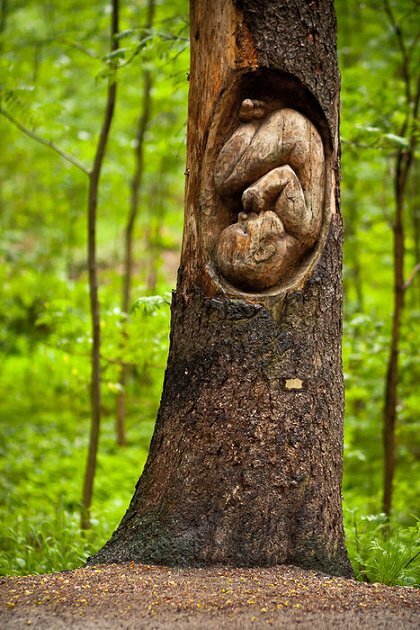 530b7c49d5d5c-1329841001-insolite-sculpture-d-un-foetus-dans-le-tronc-d-un-arbre