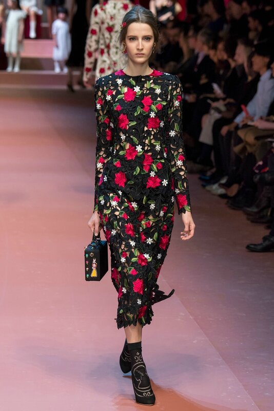 Dolce & Gabbana6