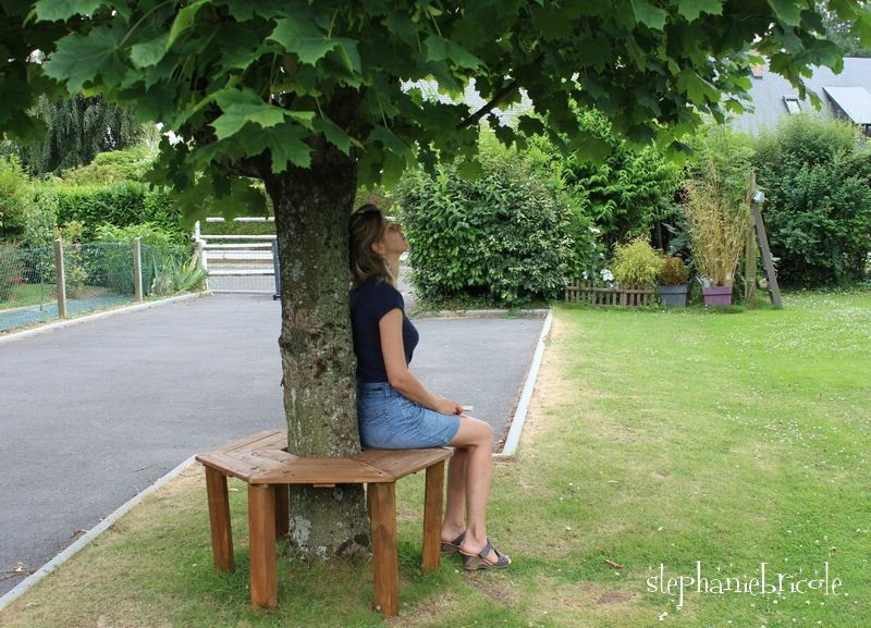 banc diy 3