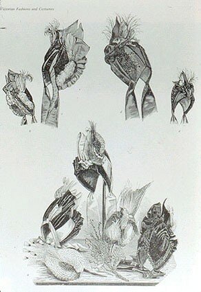 Harper_sBazar1888