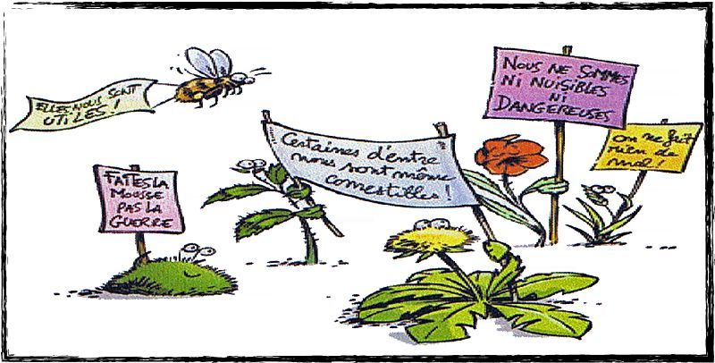 Herbes-zutiles