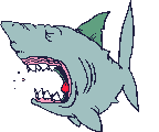 requin_gif_palle