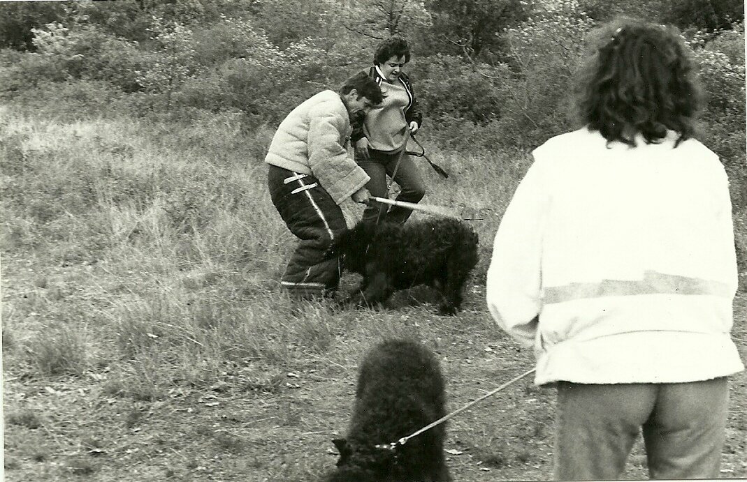 phot prise en 1980..il y a 30 ans...