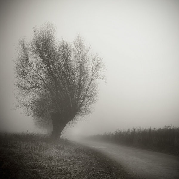 in_the_fog_by_piotrus33_d32lr0b