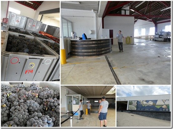 photos des vendanges 20221