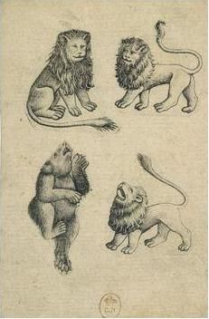 Carte de Lion Ours XVe s