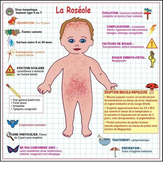 pediatrie-roseol10-img