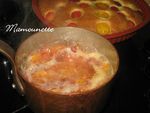 G_teau_et_compot_e_aux_arbouses_017