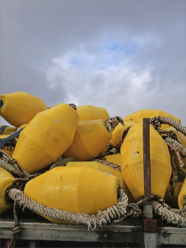 Aiguillon 250220 flotteurs jaunes ciel