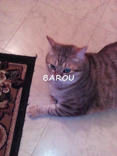 BAROU4