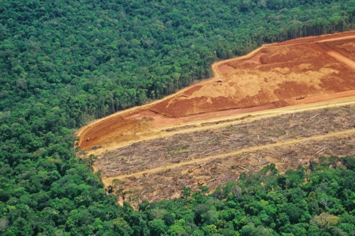 deforestation-in-the-amazon-picture-id123252122
