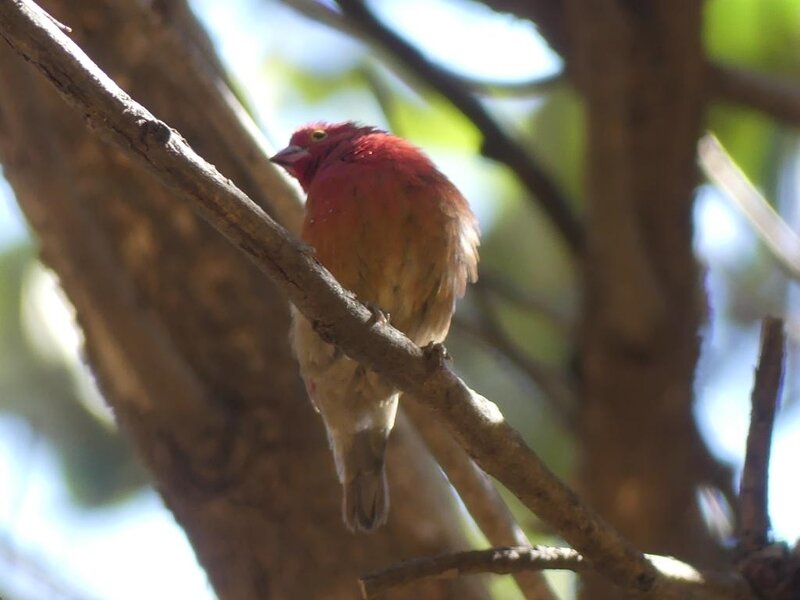 P1040407