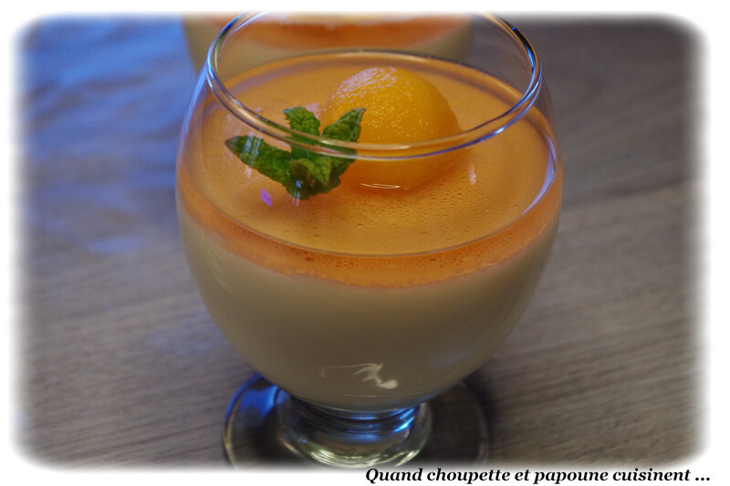 panna cotta sirop au melon-7003