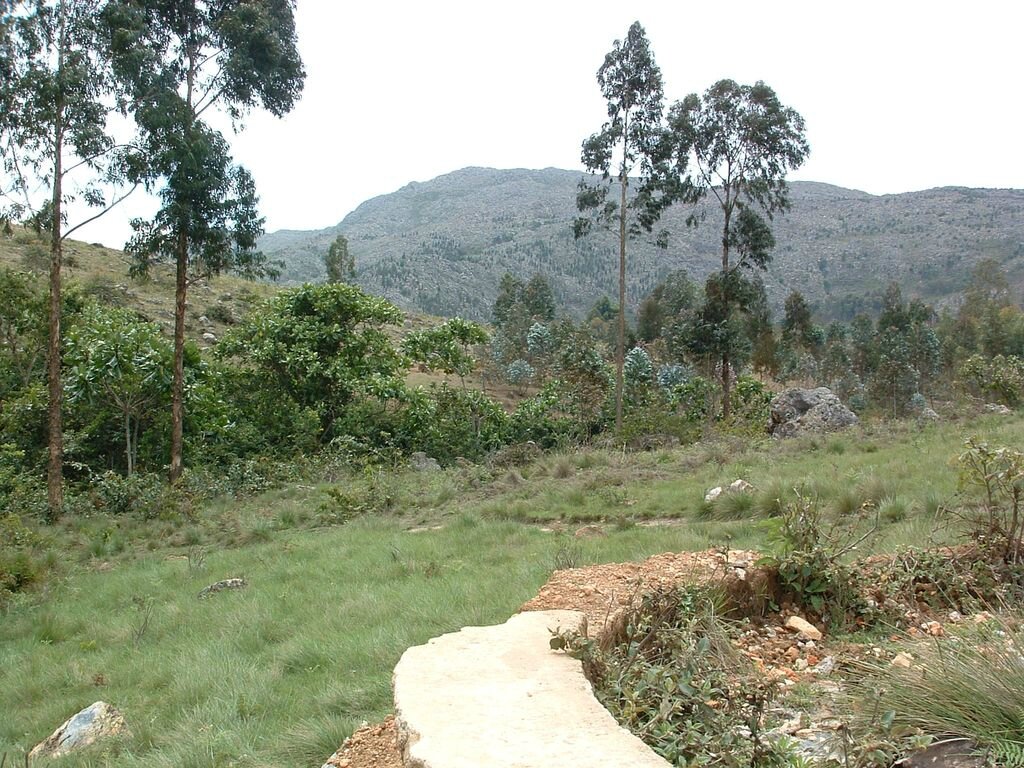 DSCF0092