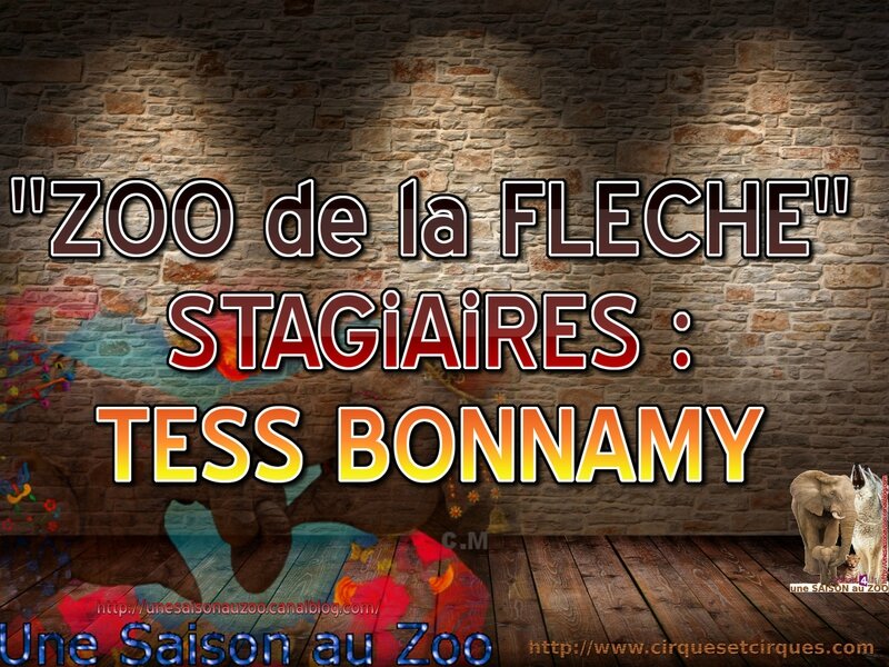 - STAGiAiRES TESS BONNAMY