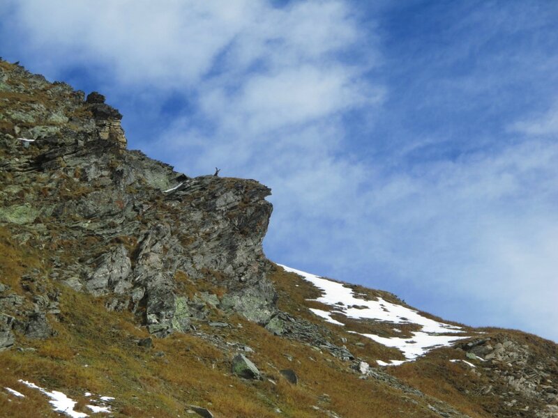 11- Sentier Col de la Lose 2