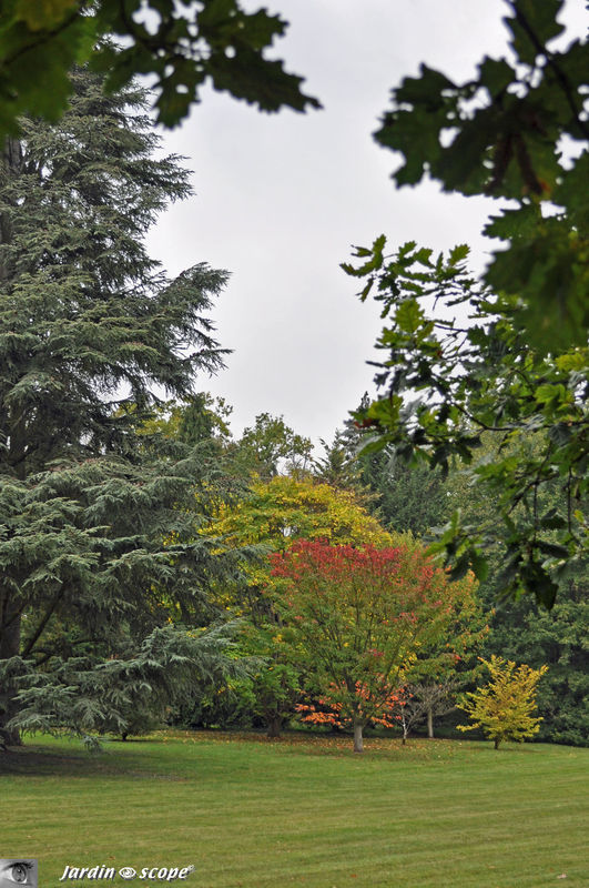 DSC_0031