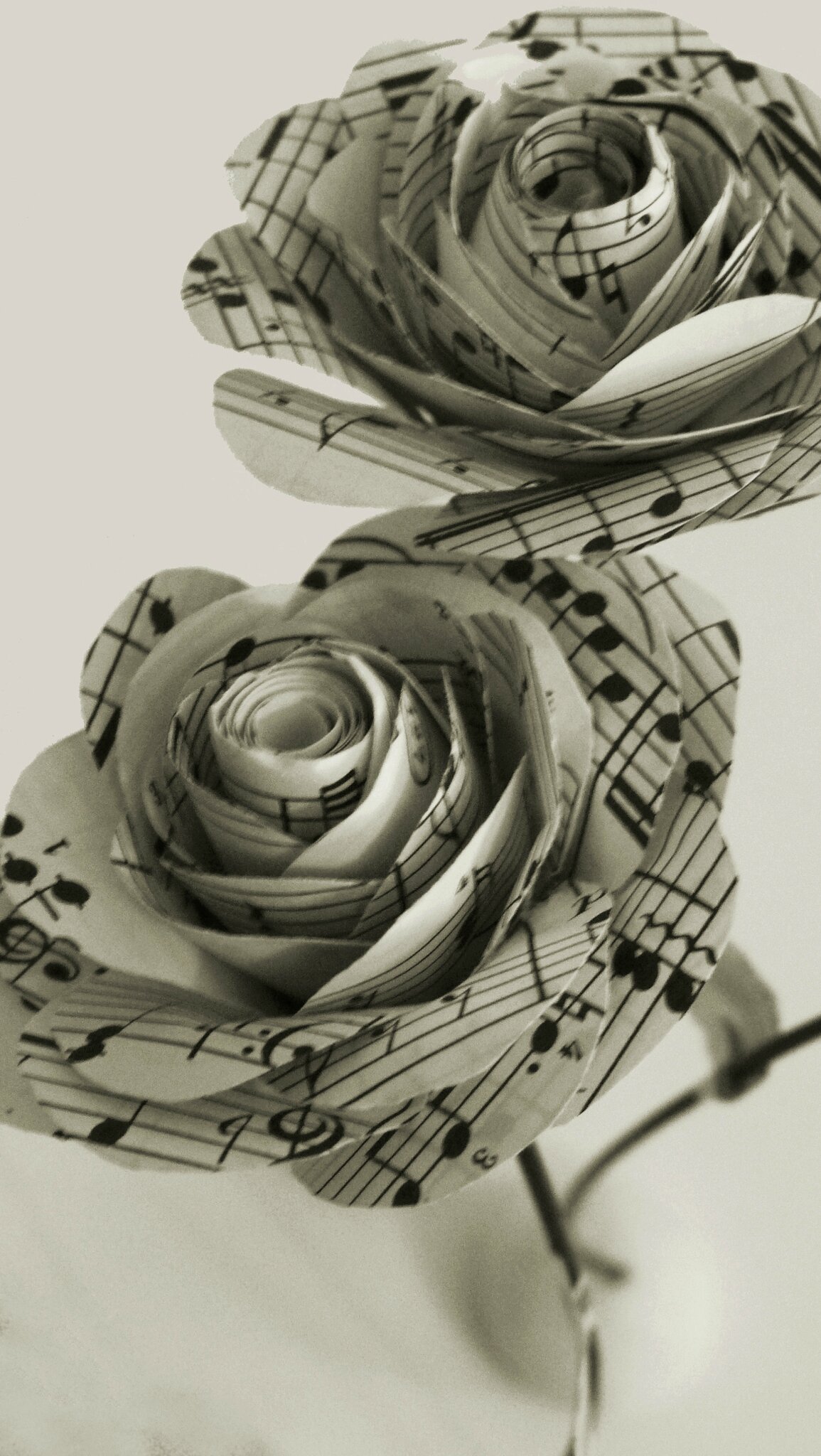 Roses découpées dans une partition de Mozart ©Kalifragili (tous droits réservés) 