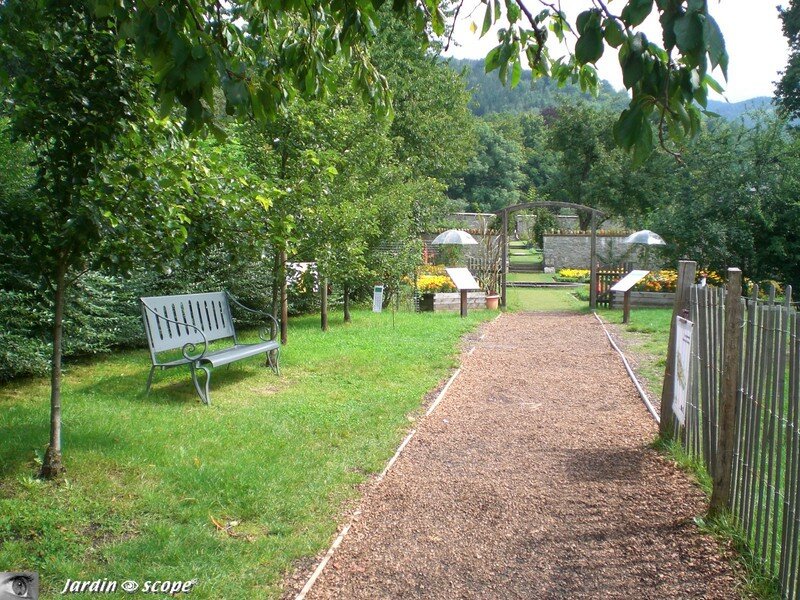 Banc dans le Jardin de Wesserling (68)