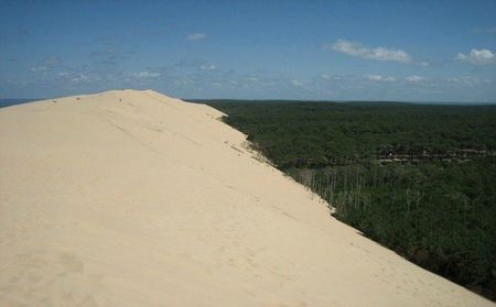 dune cote foret