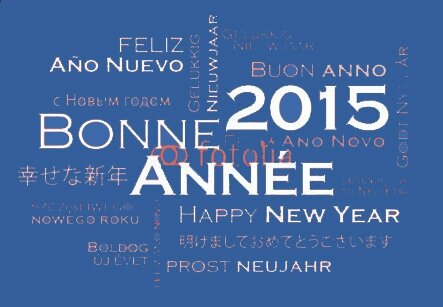 bonne-annee-2015-bleu2