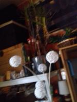 20190216_081349