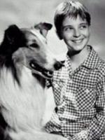 Série Lassie 1954