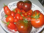 Tomates_bio___l_ancienne_du_jardin_29