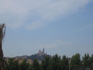IMG_3378
