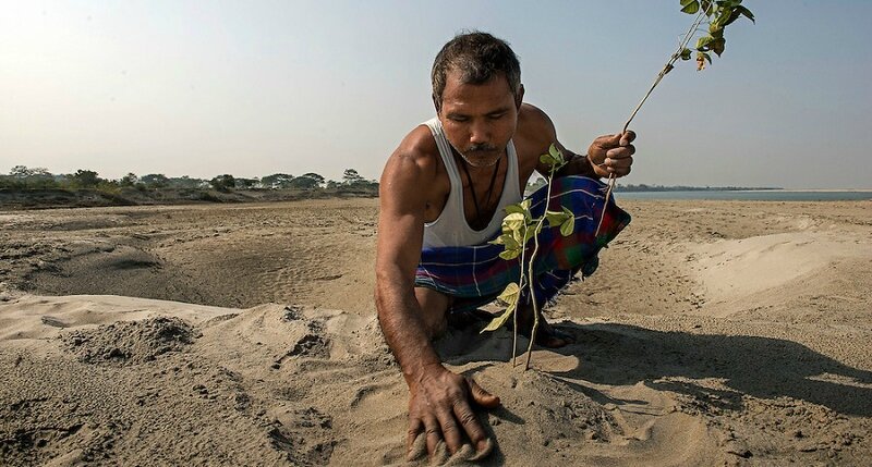 jadav-payeng-forest-man-foret-plante-seul-5