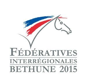 Federatives-interregionales-Rendez-vous-a-Bethune-le-2-fevrier-2015_large