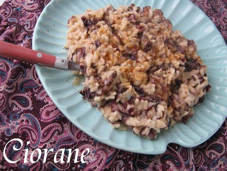 risotto-trevisse