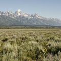 v- Grand Teton National Park, Juillet 2009