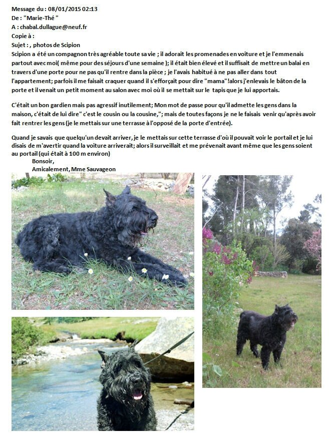 Scipion de la DULLAGUE (IKEde la DULLAGUE  X Polaire de la Dullague)